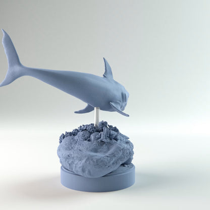 Helicoprion Swimming