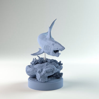 Helicoprion Swimming