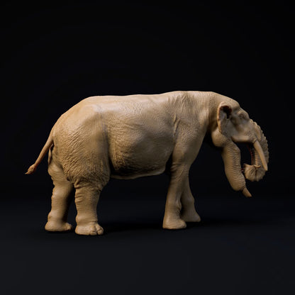 Platybelodon