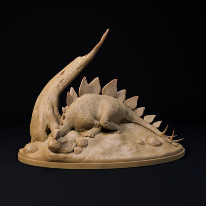Stegosaurus Resting