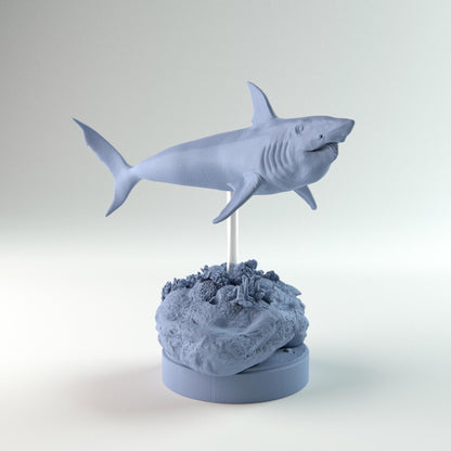 Helicoprion Swimming Up
