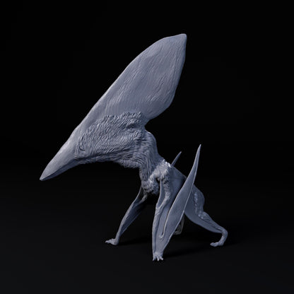 Thalassodromeus