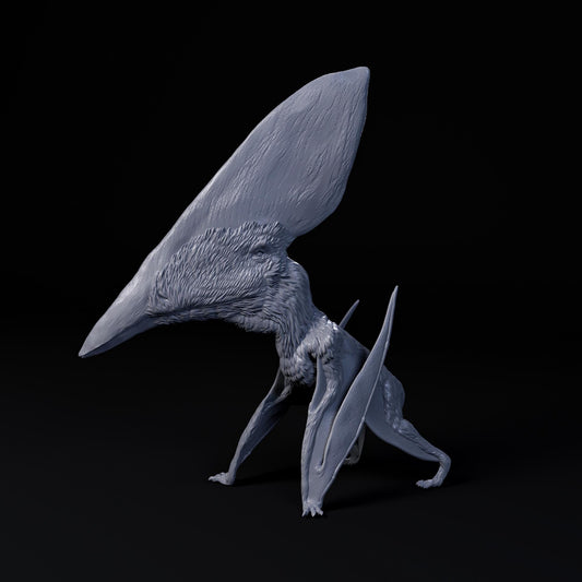 Thalassodromeus