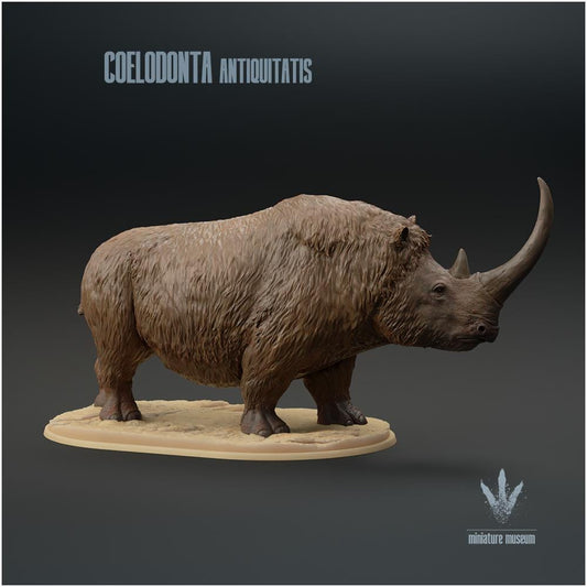 Coelodonta Antiquitatis