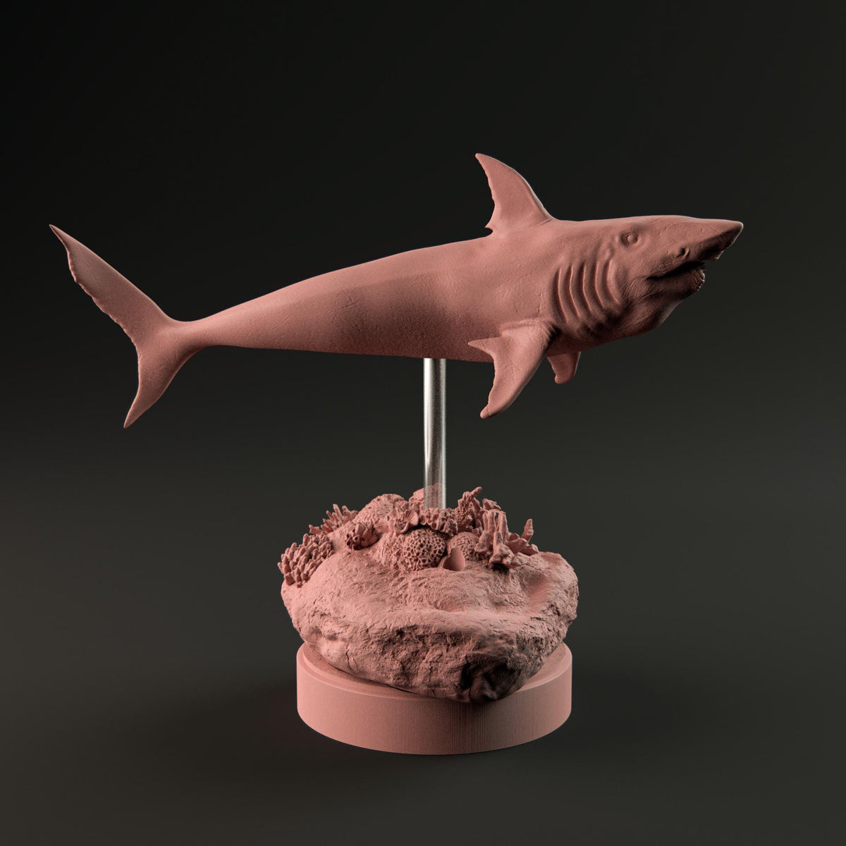 Helicoprion Swimming Up